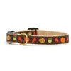 Up Country Harvest Time Small Breed Dog Collar Made in USA