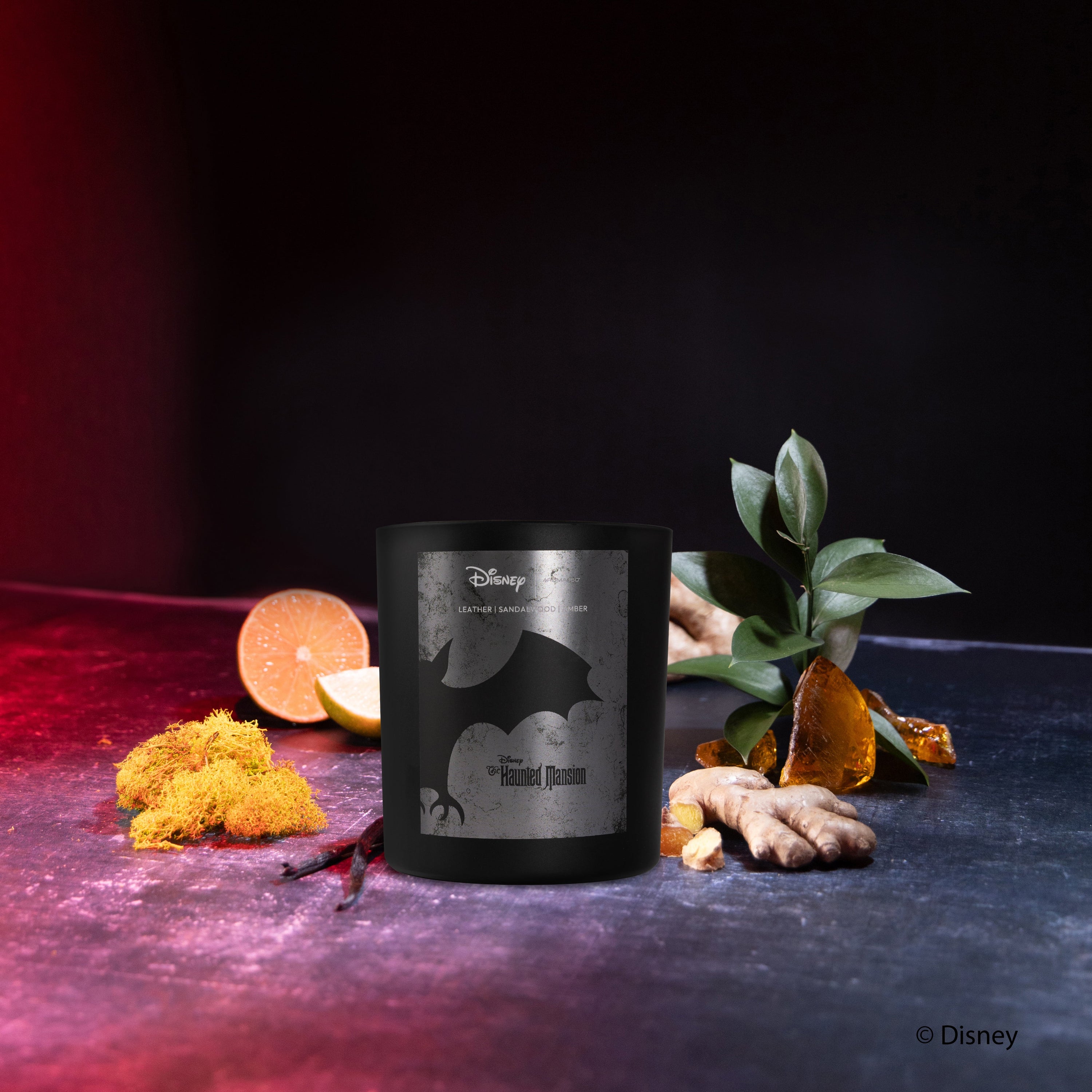 Disney My Way Candle - HT Animal Supply