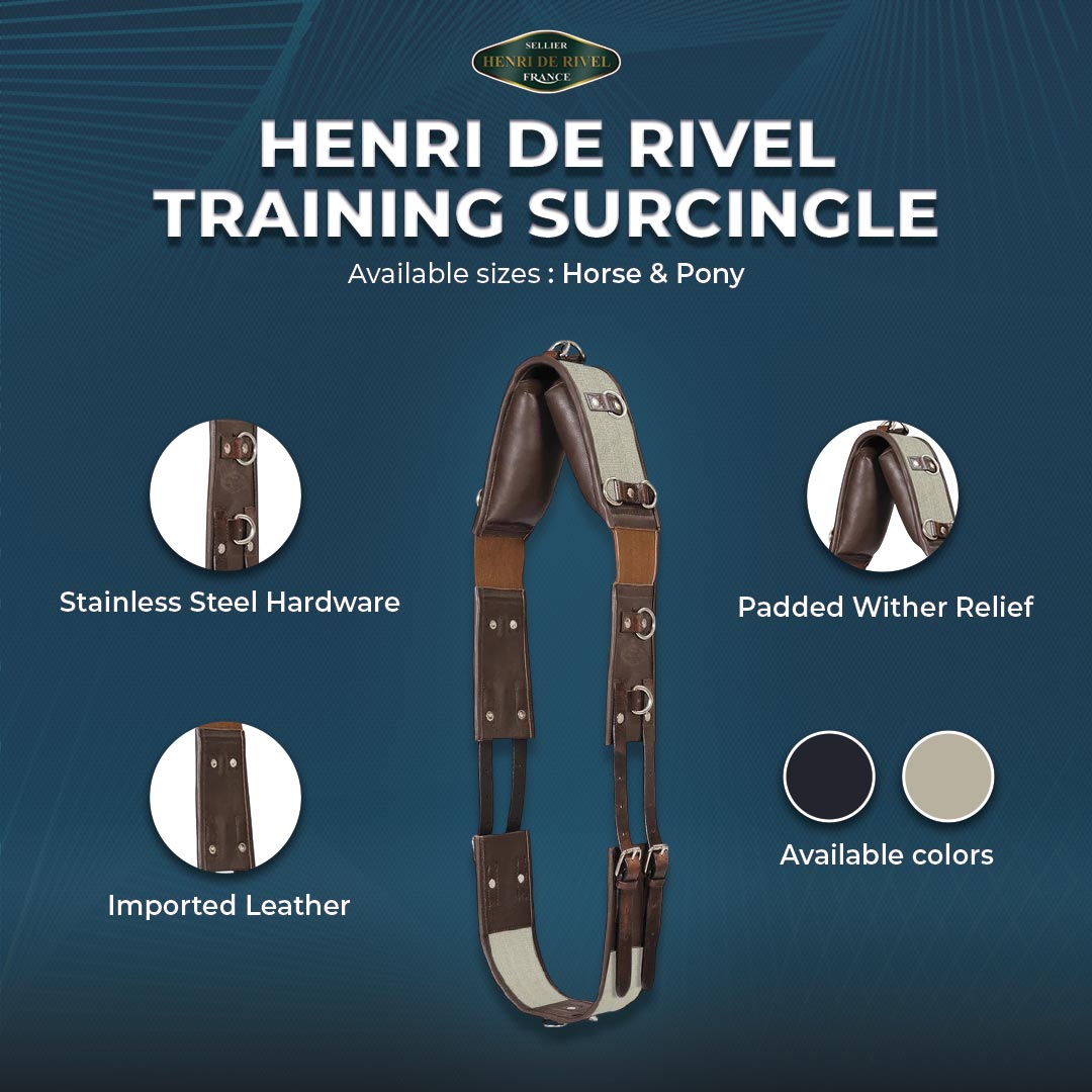 Henri de Rivel Training Surcingle | HT Animal Supply