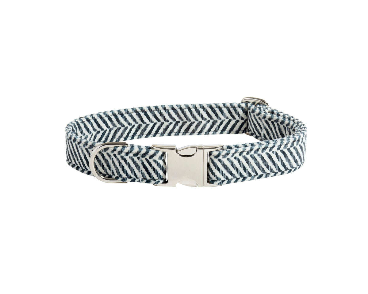 Bowsers Designer Buckle Dog Collar - Secure Everyday Fit and Designer Style