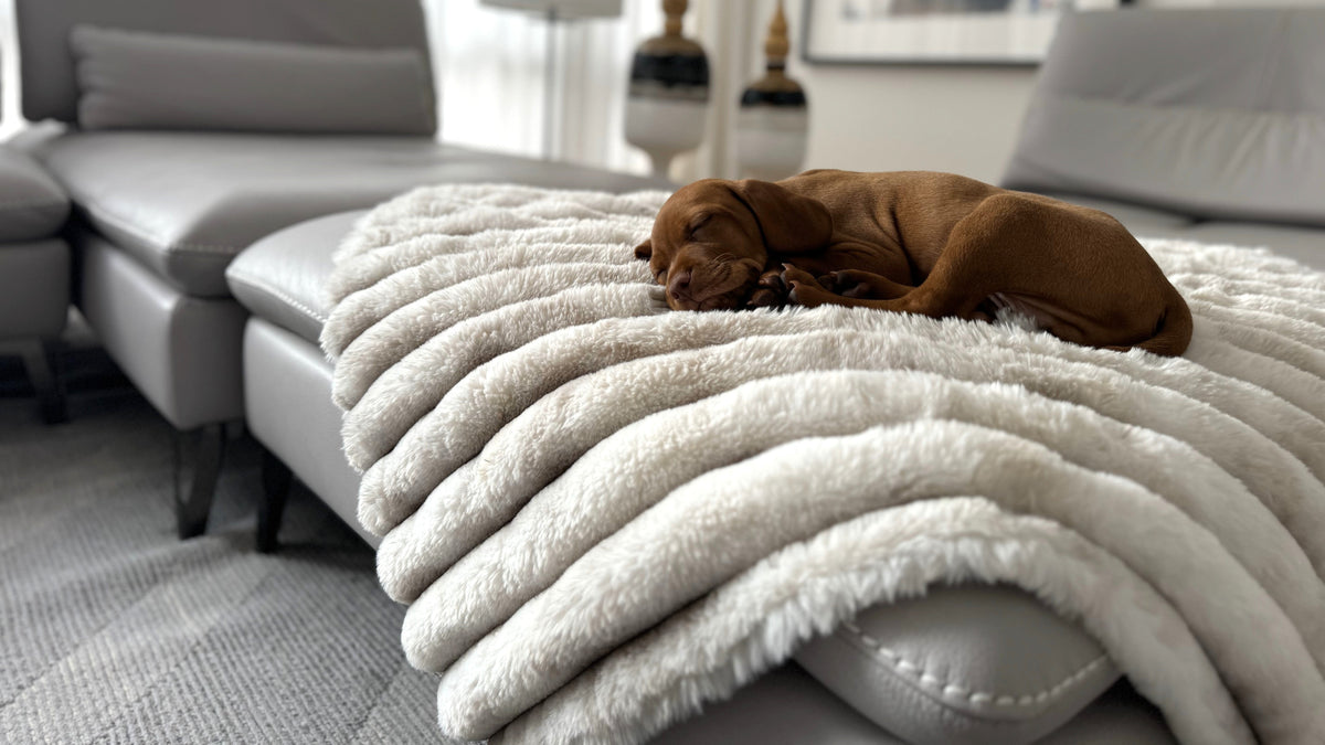 Bowsers Dog Furniture Cover Blanket Topper Dog Furniture Cover - Washable Couch and Furniture Protection