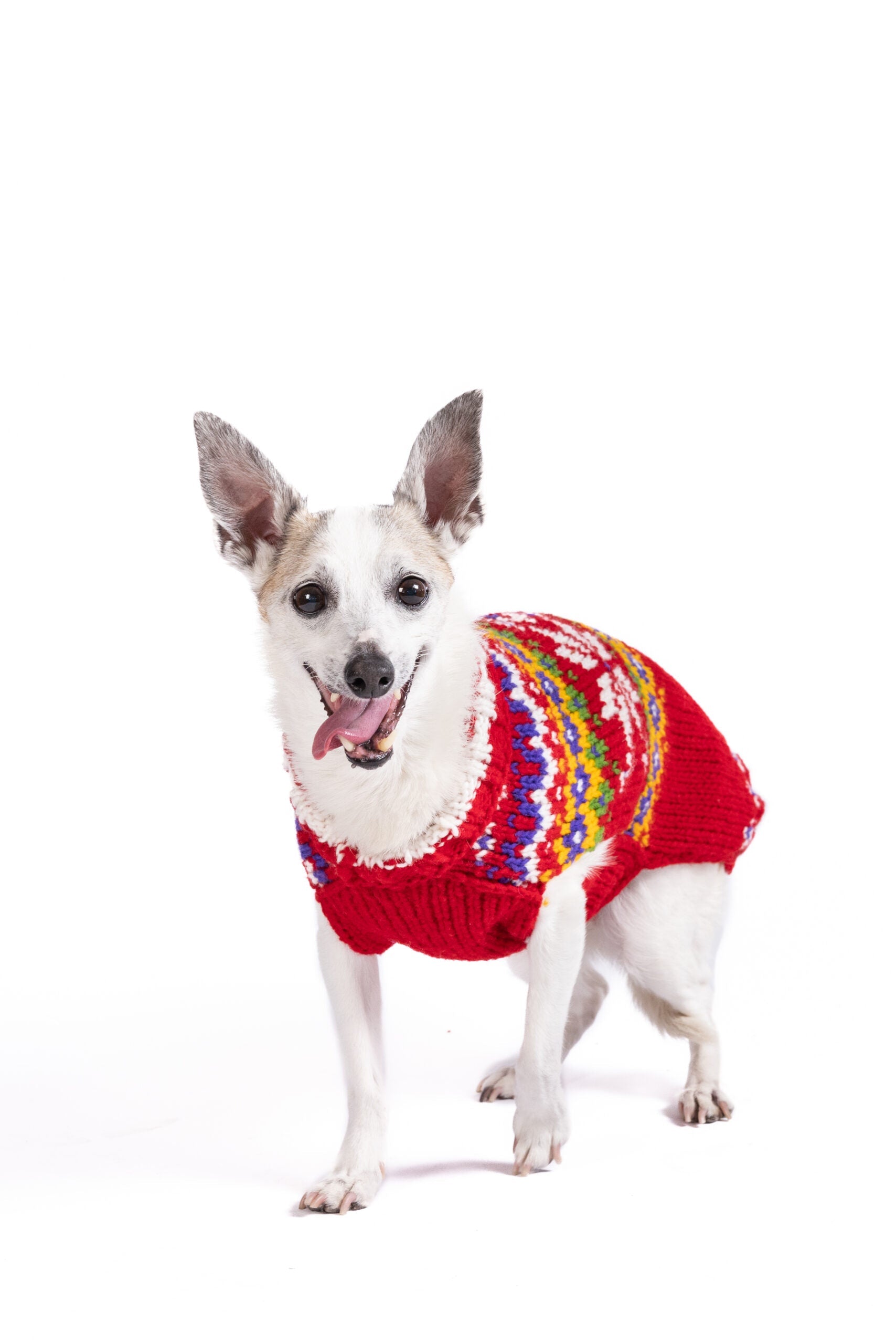 Jolly Red Dog Sweater