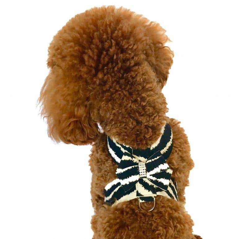 Hollywood Bow Dog Harness, Zebra
