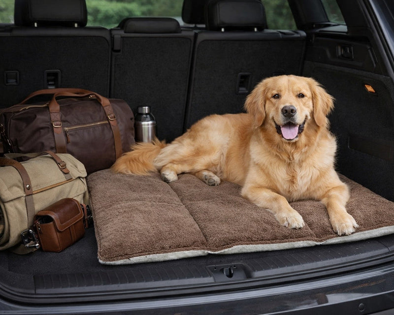 Bowsers Urban Home and Travel Dog Mat - Portable Home and Travel Comfort