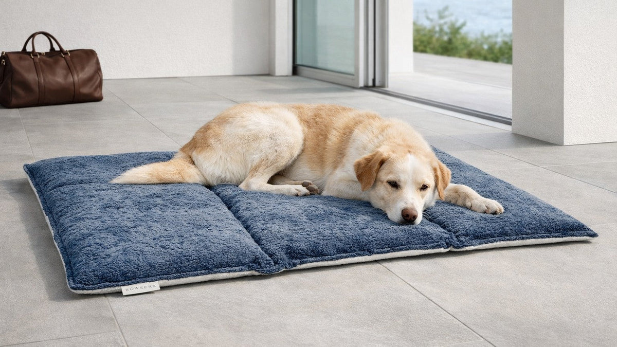 Bowsers Urban Home and Travel Dog Mat - Portable Home and Travel Comfort
