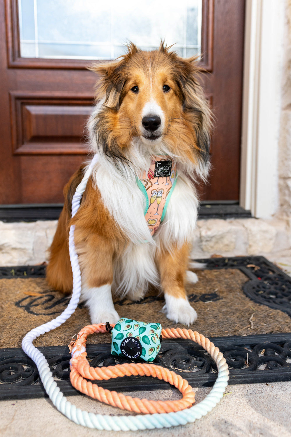 Dog Rope Leash - Honeydew