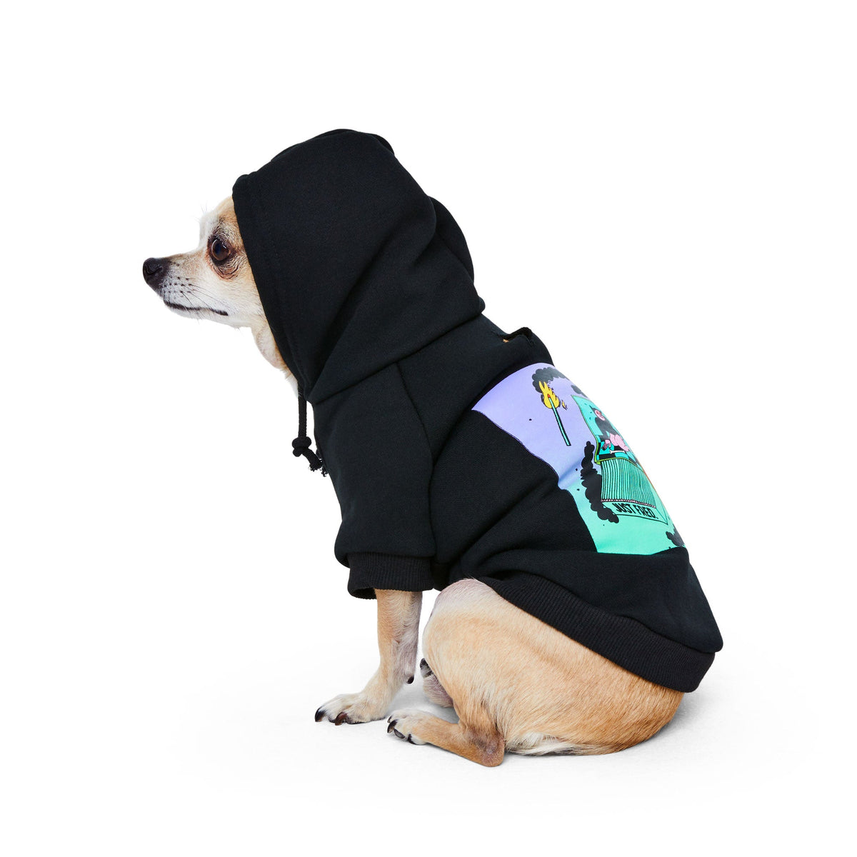 Snap Back Hoodie