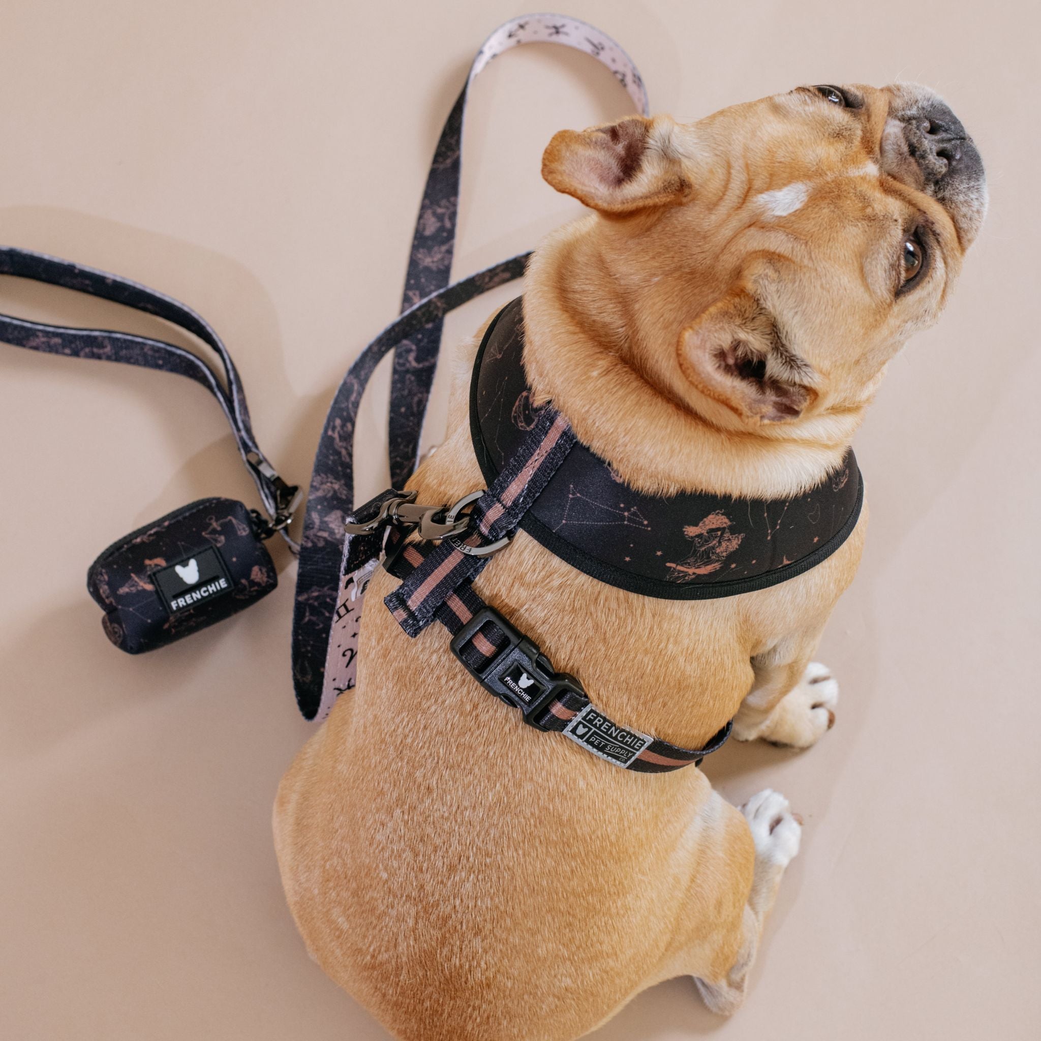 Frenchie Duo Reversible Harness - Horoscope