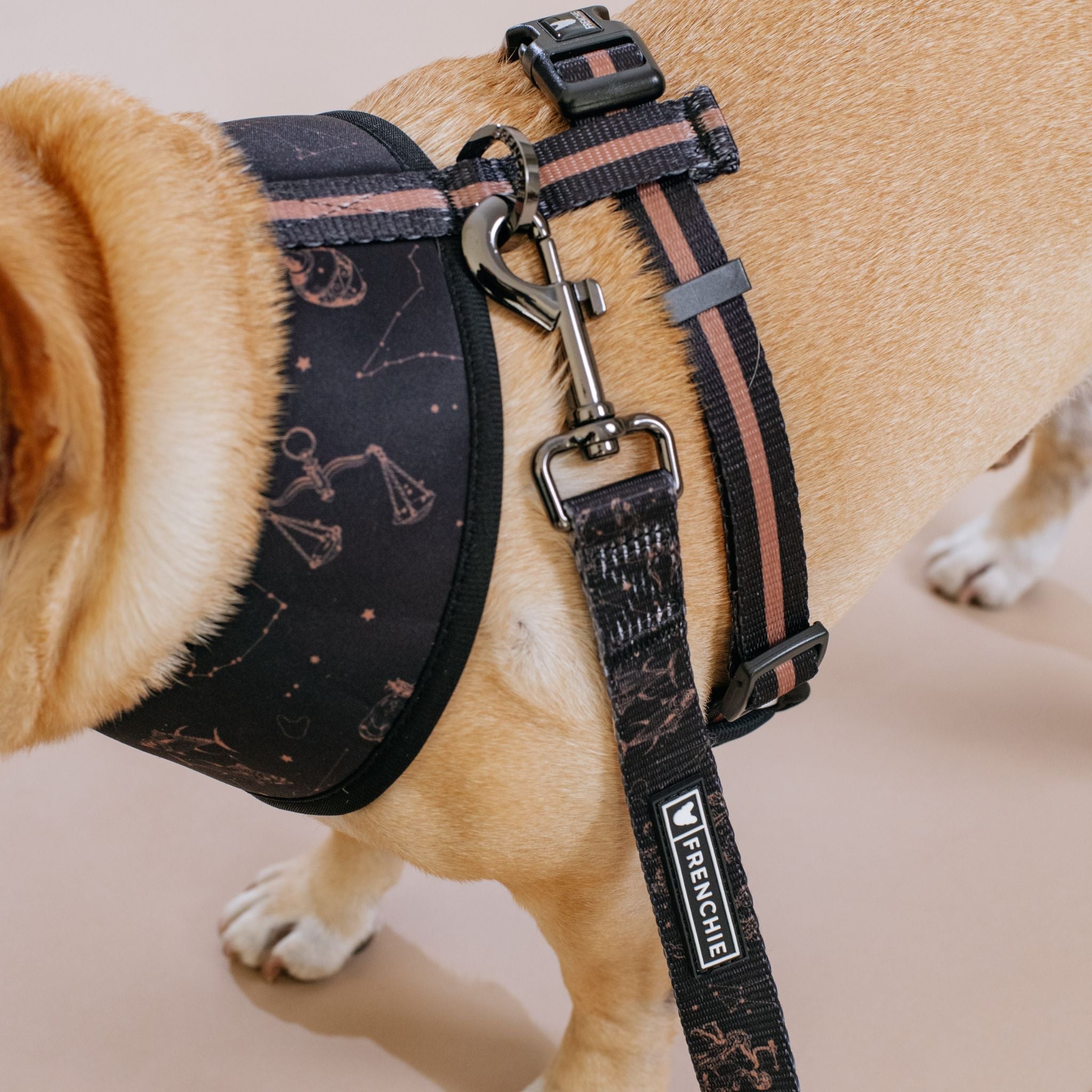 Frenchie Duo Reversible Harness - Horoscope