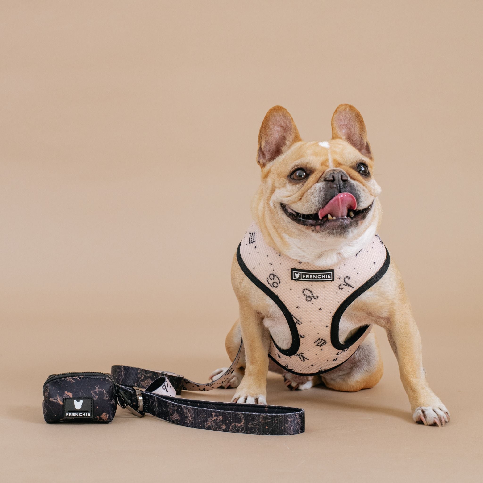 Frenchie Duo Reversible Harness - Horoscope