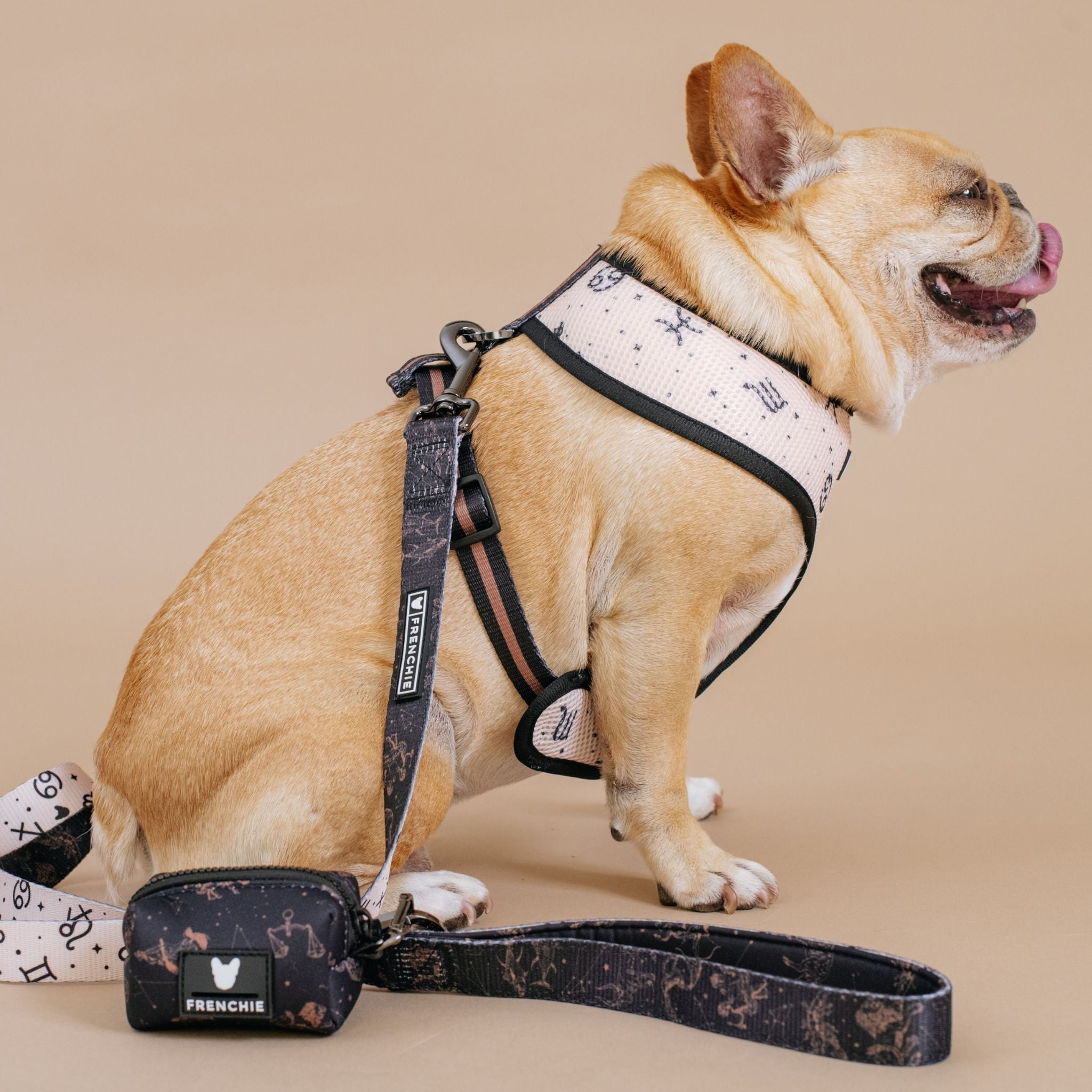 Frenchie Duo Reversible Harness - Horoscope