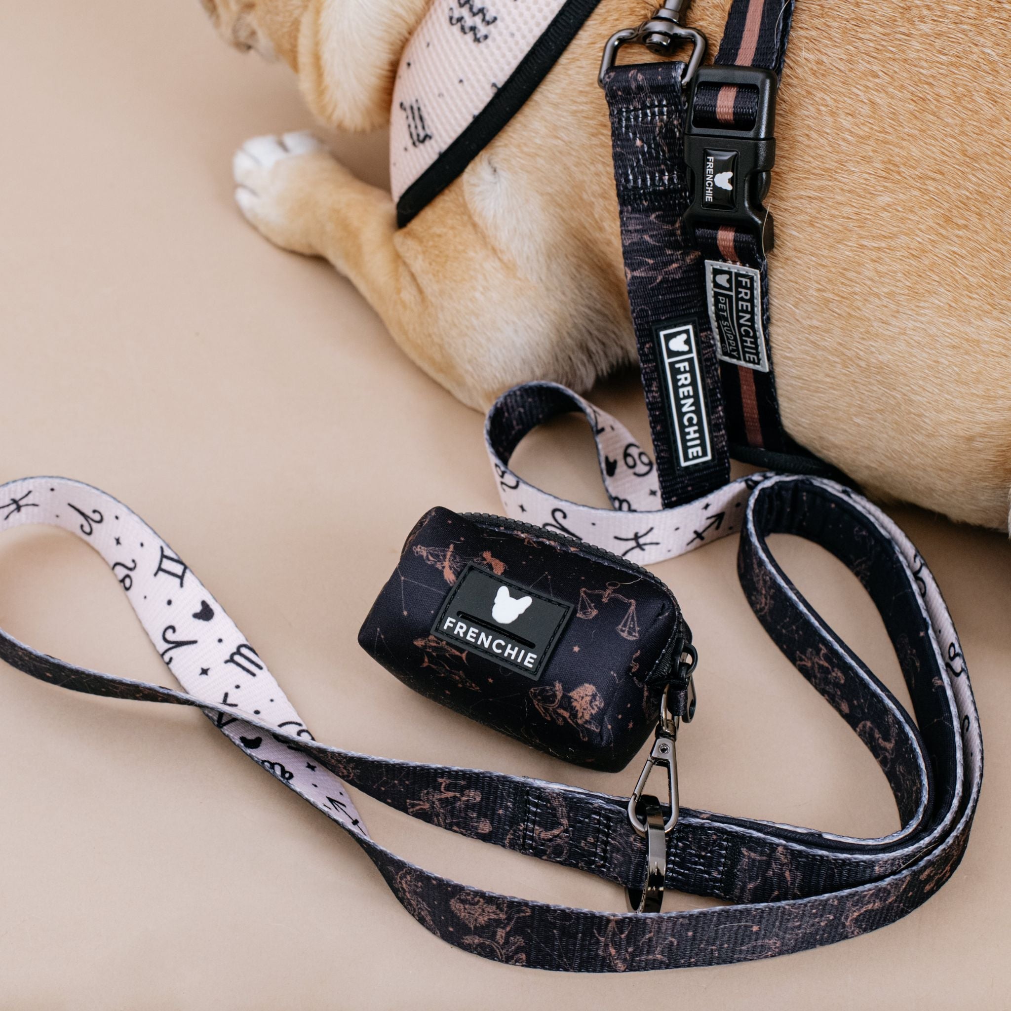 Frenchie Comfort Leash - Horoscope