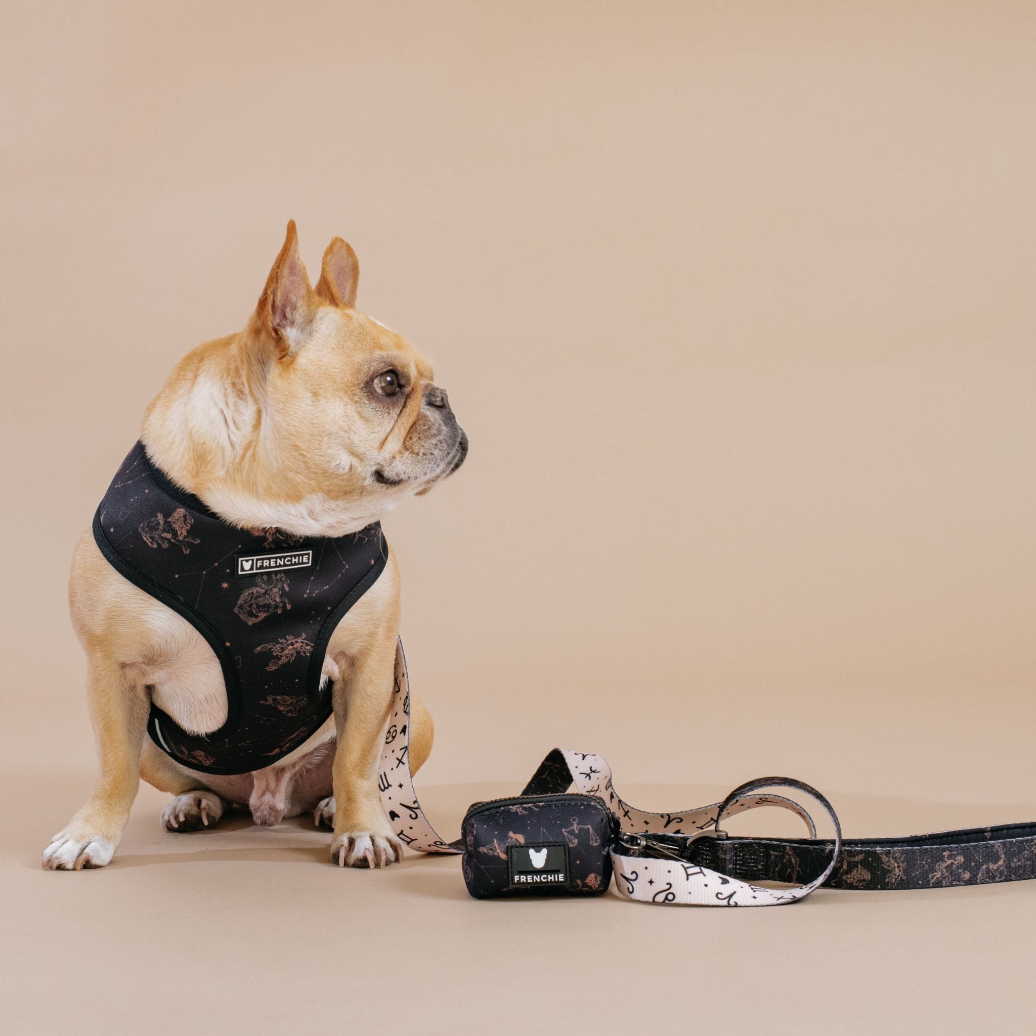 Frenchie Duo Reversible Harness - Horoscope