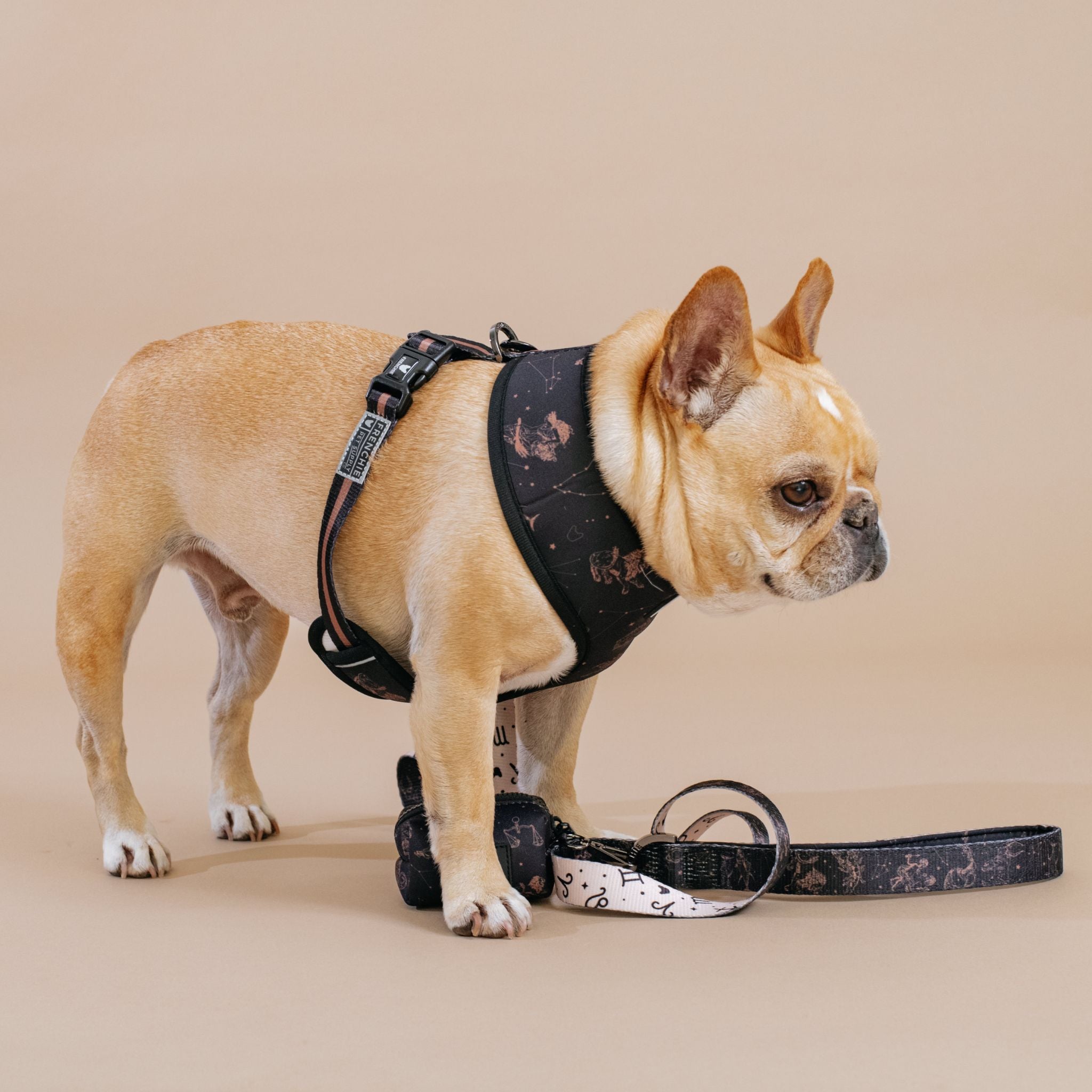 Frenchie Duo Reversible Harness - Horoscope
