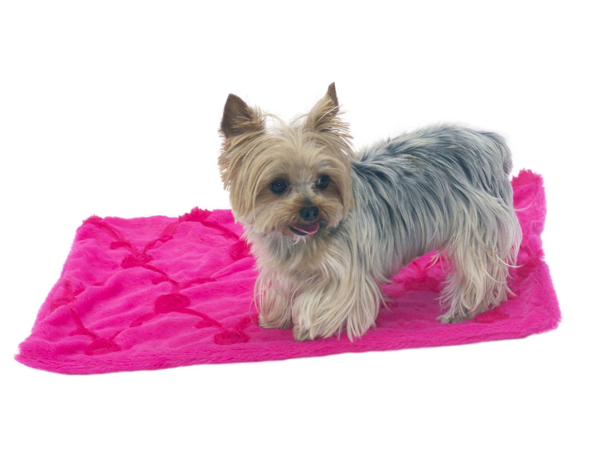 Blanket, Embroidered Roses in Hot Pink