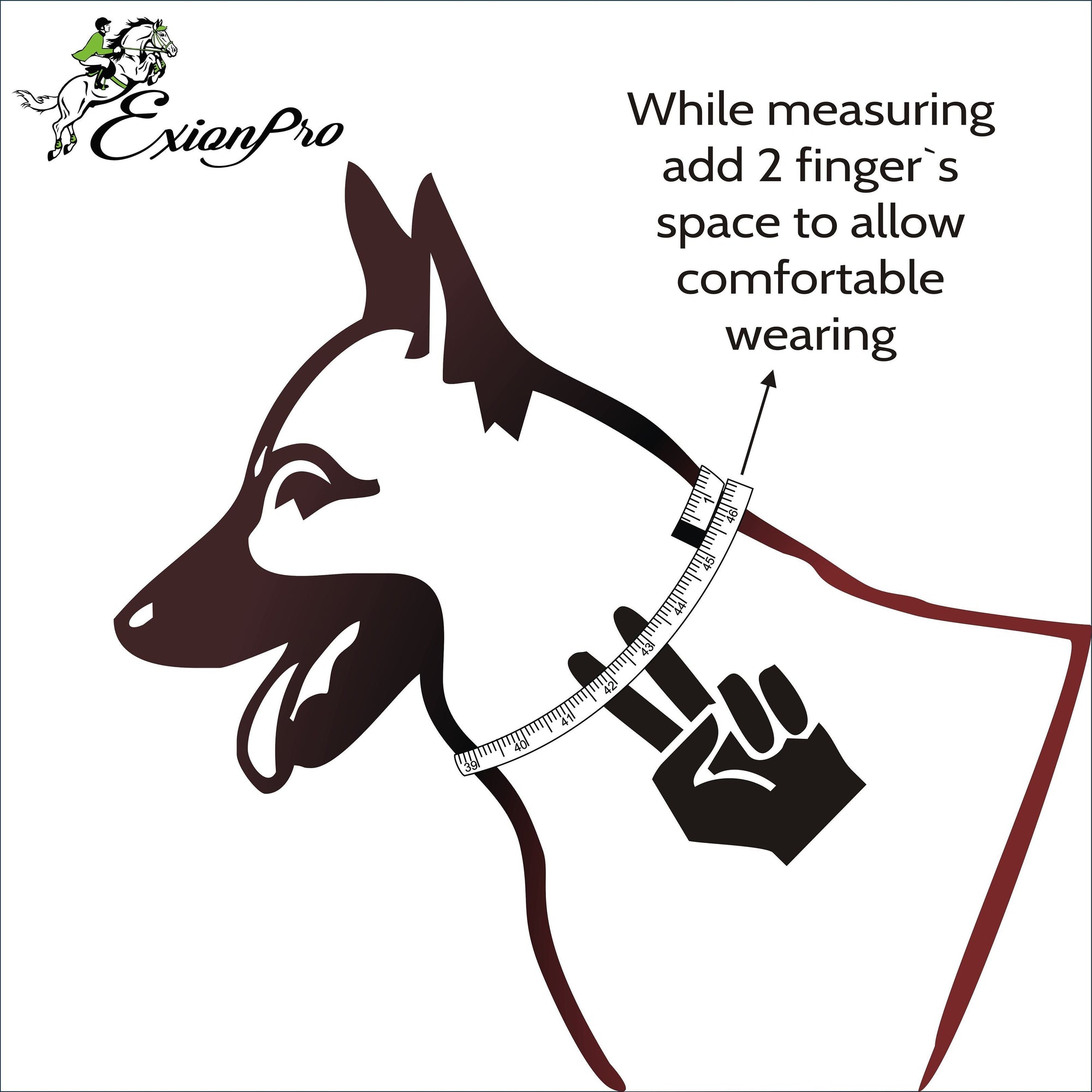 ExionPro Fancy Stitched Padded Leather Dog Collar - Brown Padding