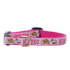 Up Country Howdy Small Breed Dog Collar Made in USA