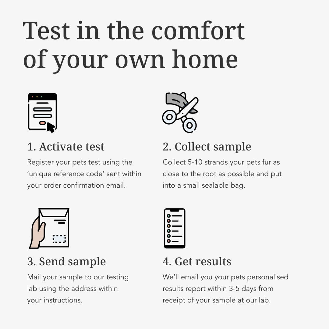 Basic Cat Intolerance Test