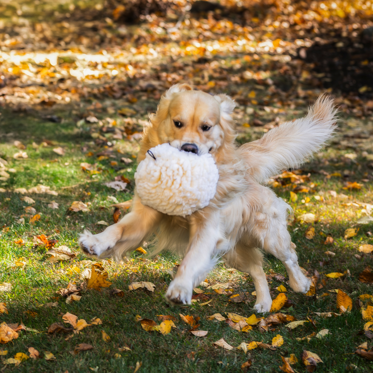 HuggleFleece Plush Ball Dog Toy