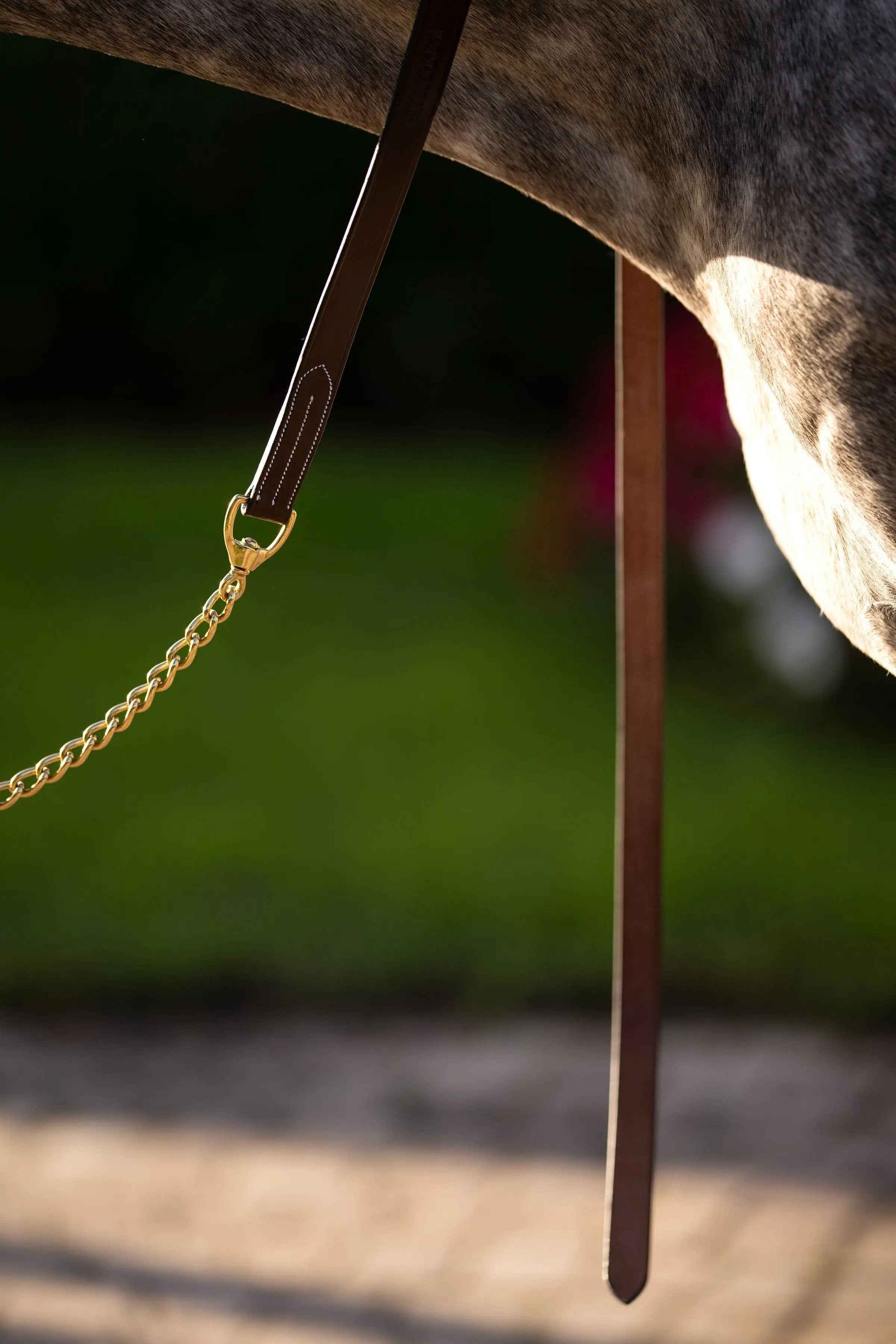 Huntley Equestrian Sedgwick Leather Lead with Brass Chain