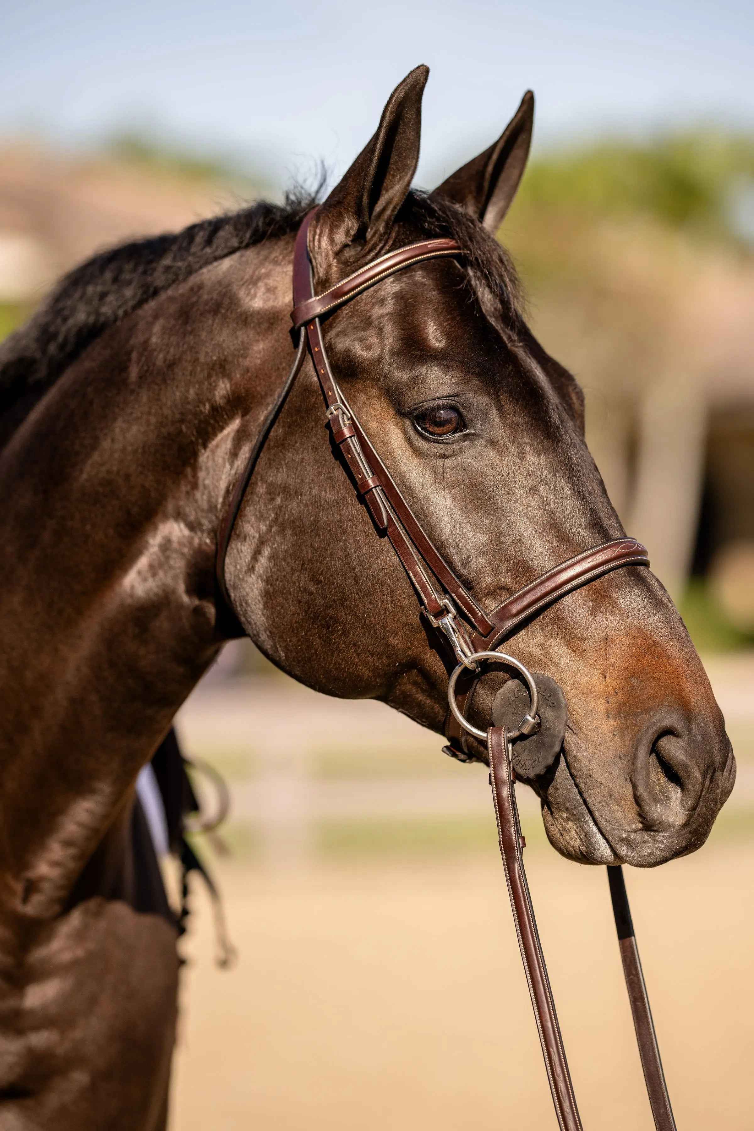 Huntley Equestrian Sedgwick Fancy Stitched Bridle with Cheek Clips and Reins