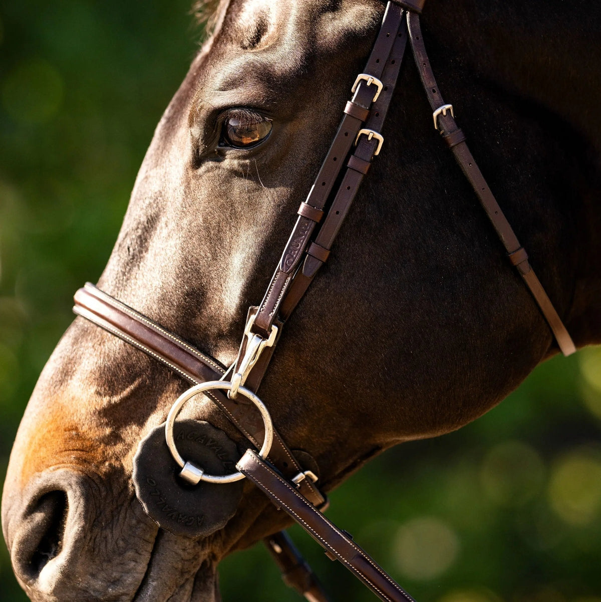 Huntley Equestrian Sedgwick Fancy Stitched Bridle with Cheek Clips and Reins | HT Animal Supply