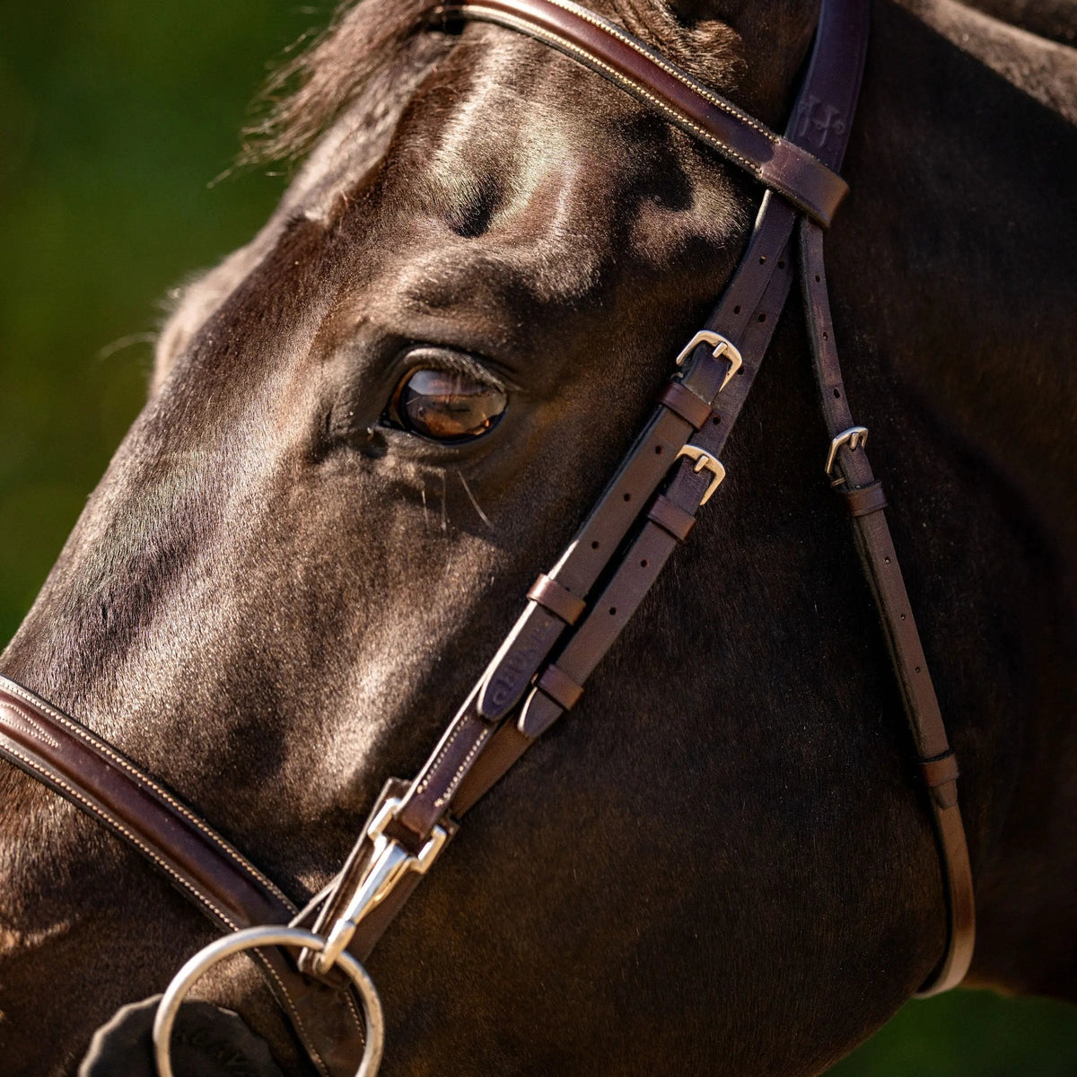 Huntley Equestrian Sedgwick Fancy Stitched Bridle with Cheek Clips and Reins | HT Animal Supply