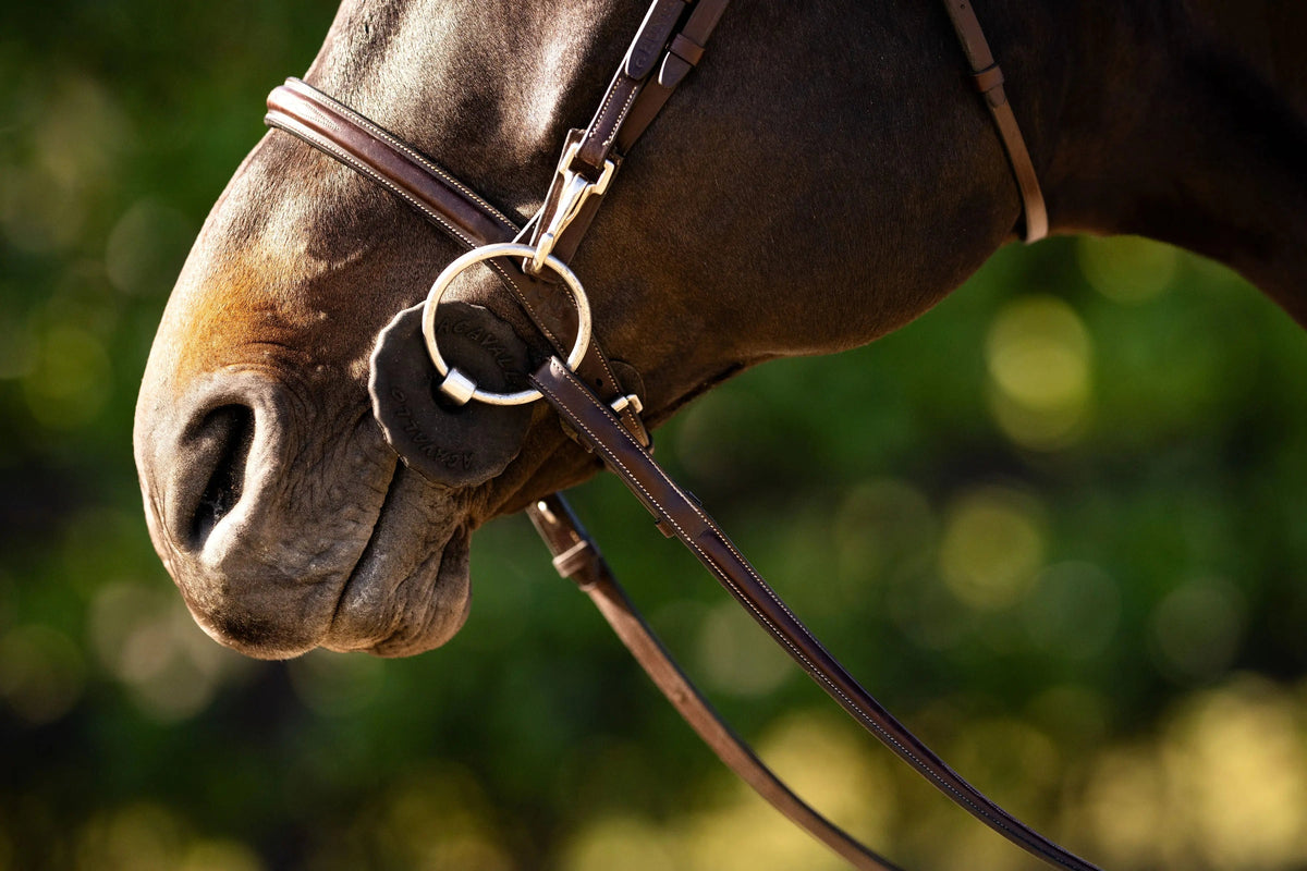 Huntley Equestrian Sedgwick Fancy Stitched Bridle with Cheek Clips and Reins | HT Animal Supply