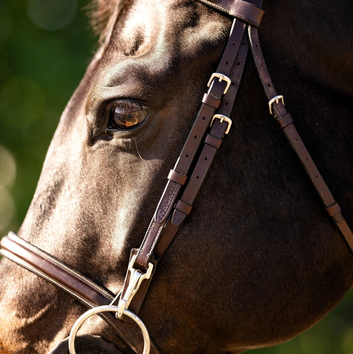 Huntley Equestrian Sedgwick Fancy Stitched Bridle with Cheek Clips and Reins | HT Animal Supply