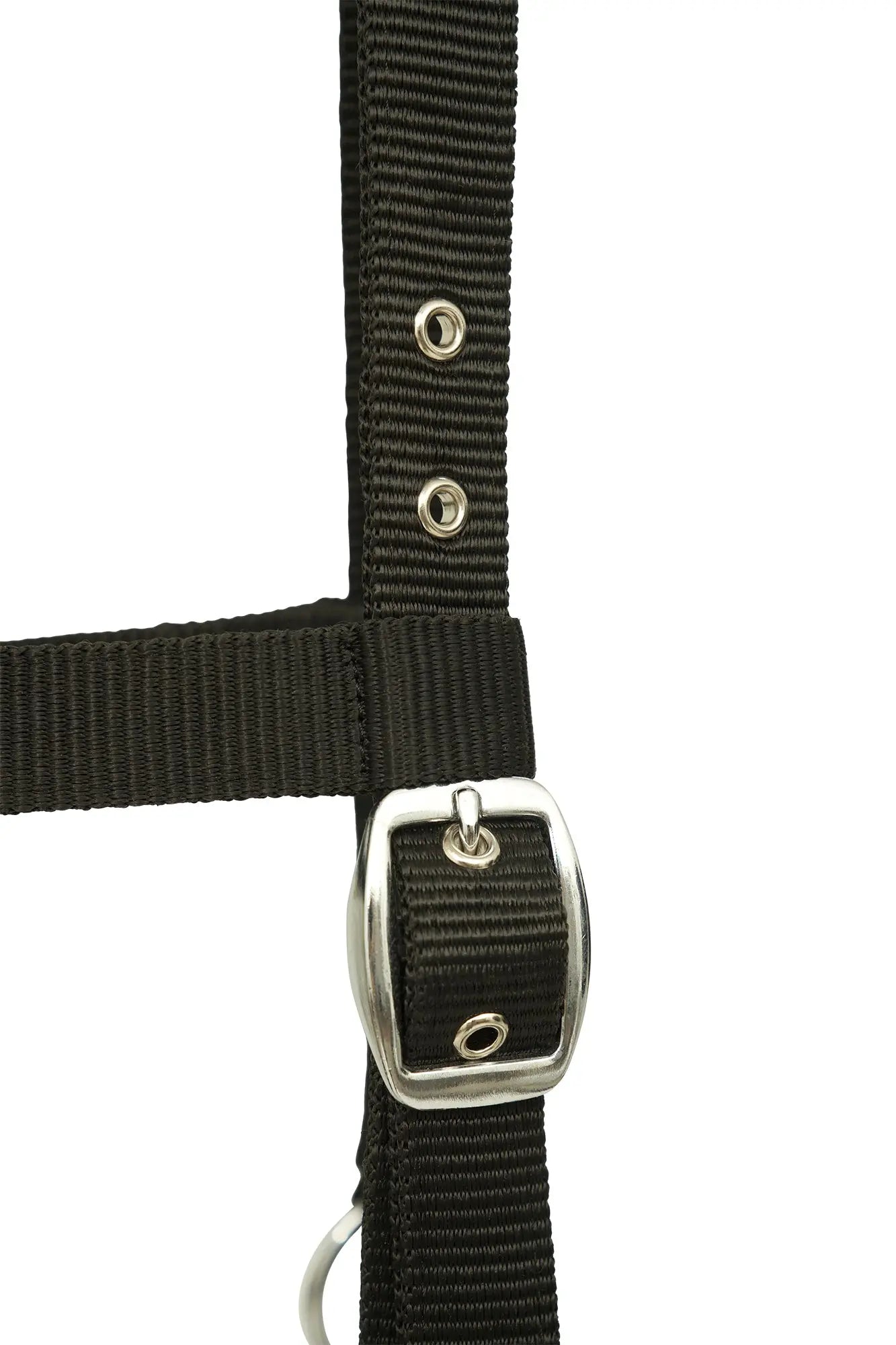 Huntley Nylon Padded Lunging Caveson, Black