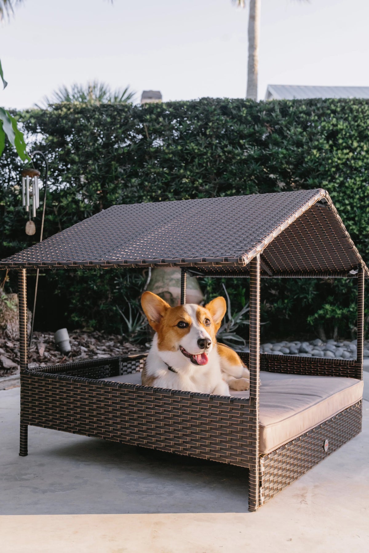 Huntley Pet Rattan Wicker Indoor Outdoor Cabana Raised Pet Bed | HT Animal Supply