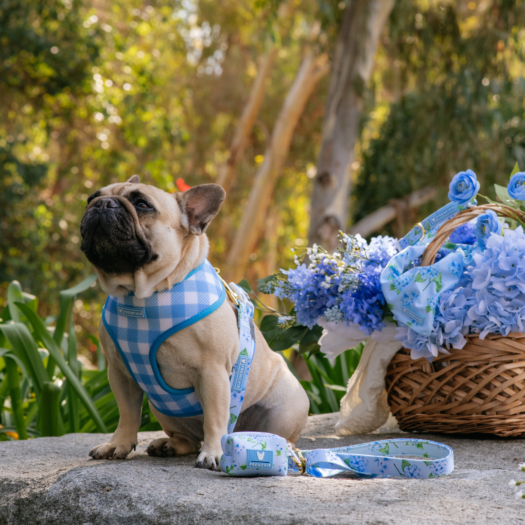 Frenchie Poo Bag Holder - Hydrangea