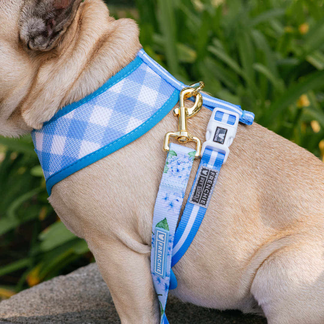 Frenchie Duo Reversible Harness - Hydrangea