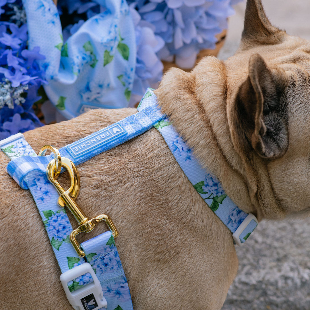 Frenchie Strap Harness - Hydrangea
