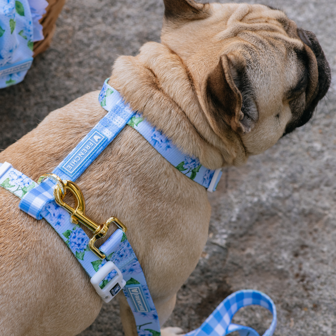 Frenchie Strap Harness - Hydrangea