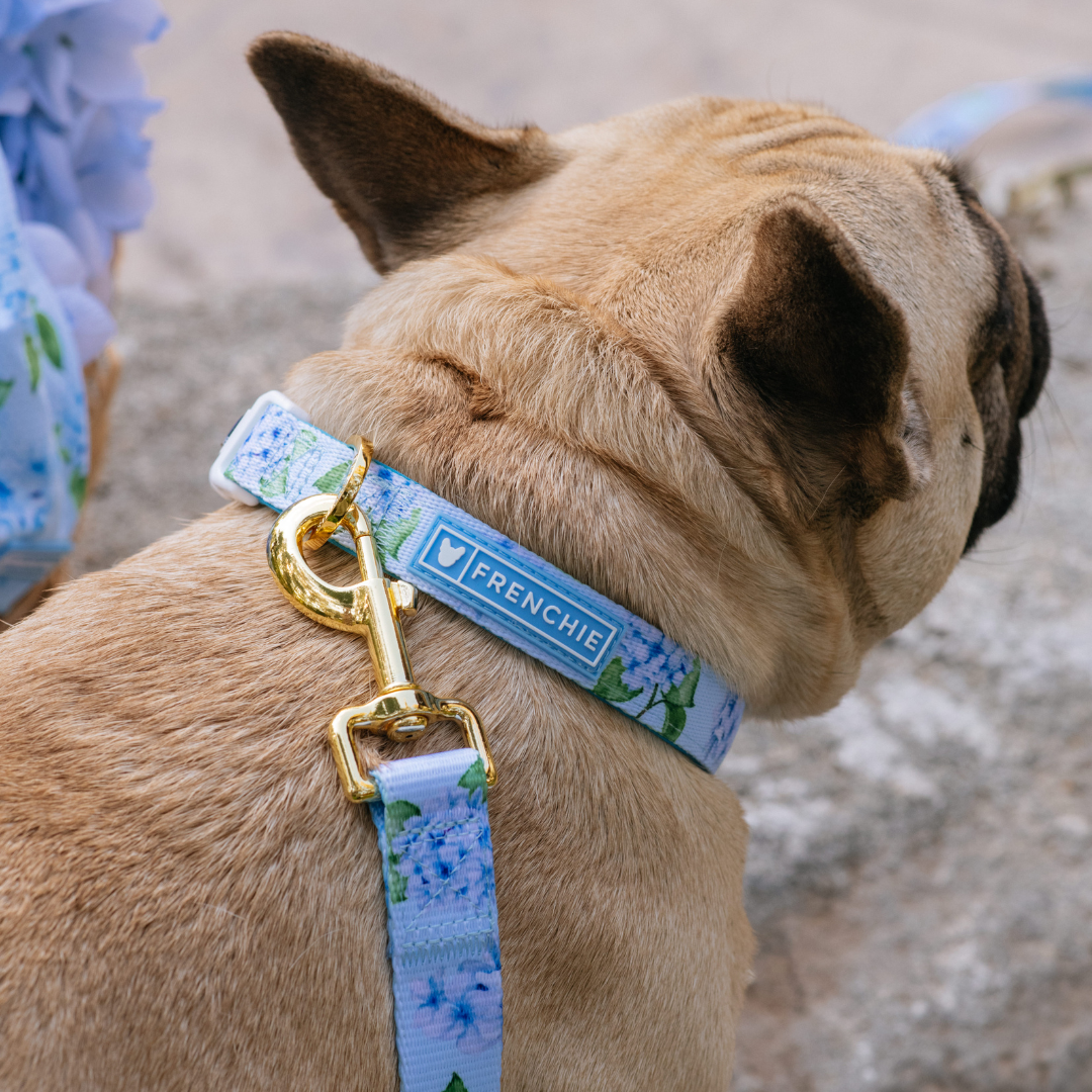 Frenchie Comfort Collar - Hydrangea