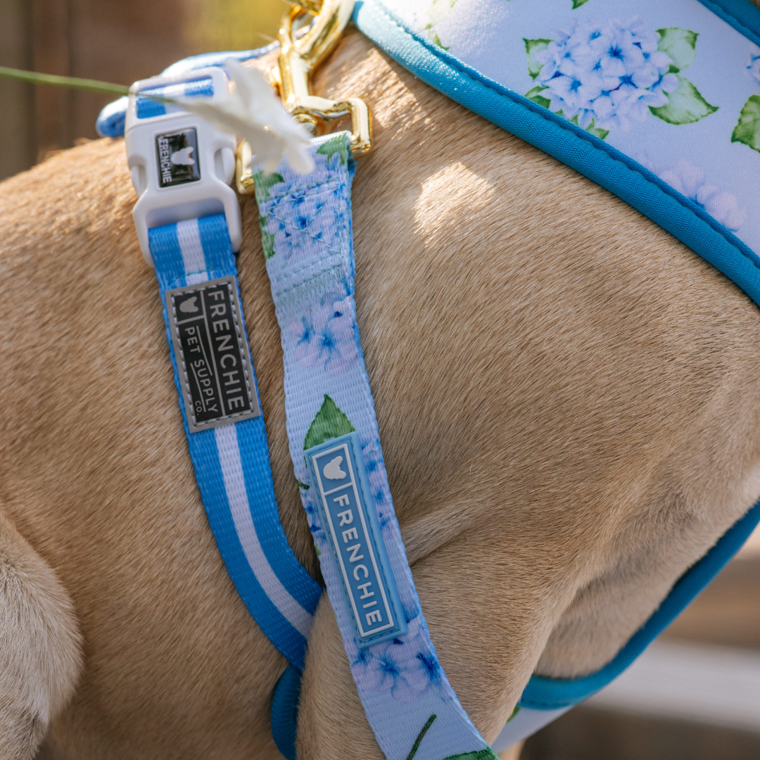 Frenchie Duo Reversible Harness - Hydrangea