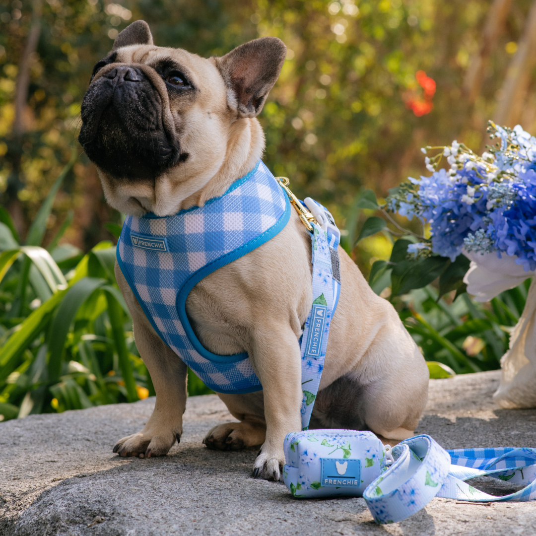 Frenchie Poo Bag Holder - Hydrangea