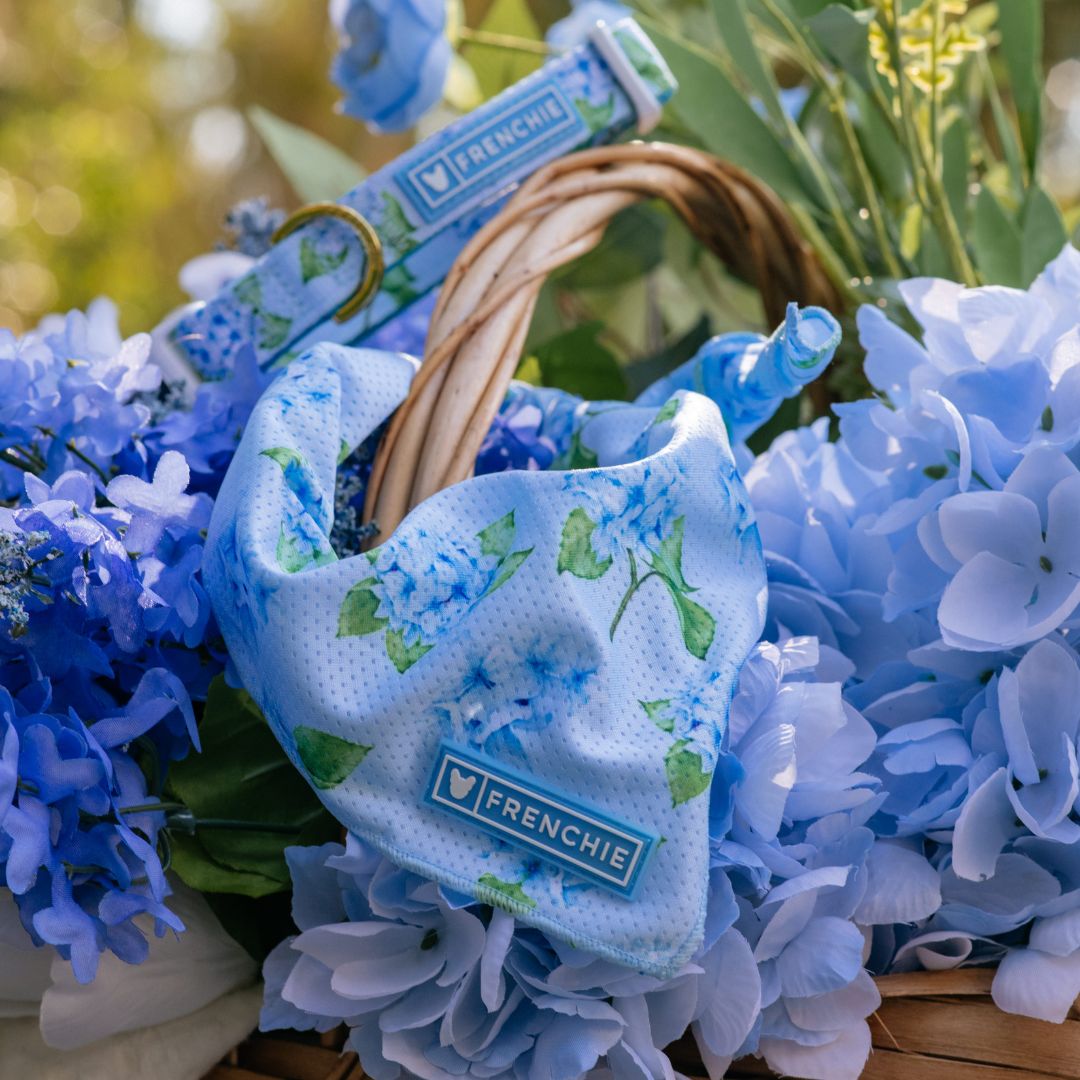 Frenchie Cooling Bandana - Hydrangea