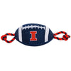 Illinois Nylon Football