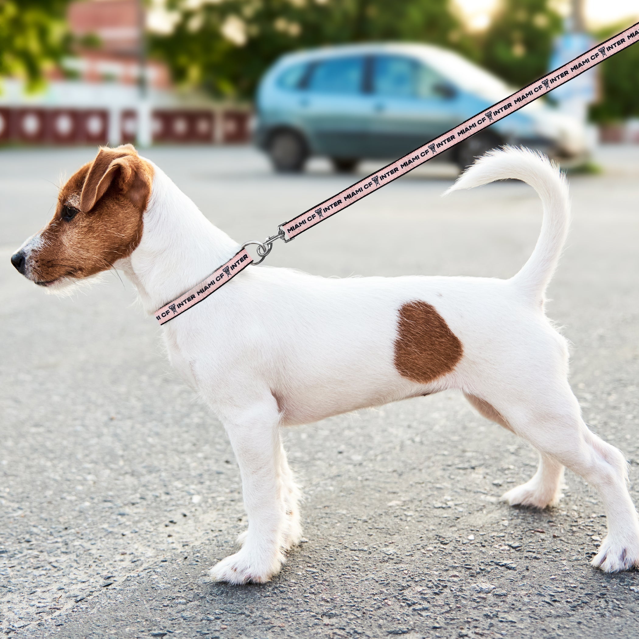 Inter Miami Satin Ribbon Leash