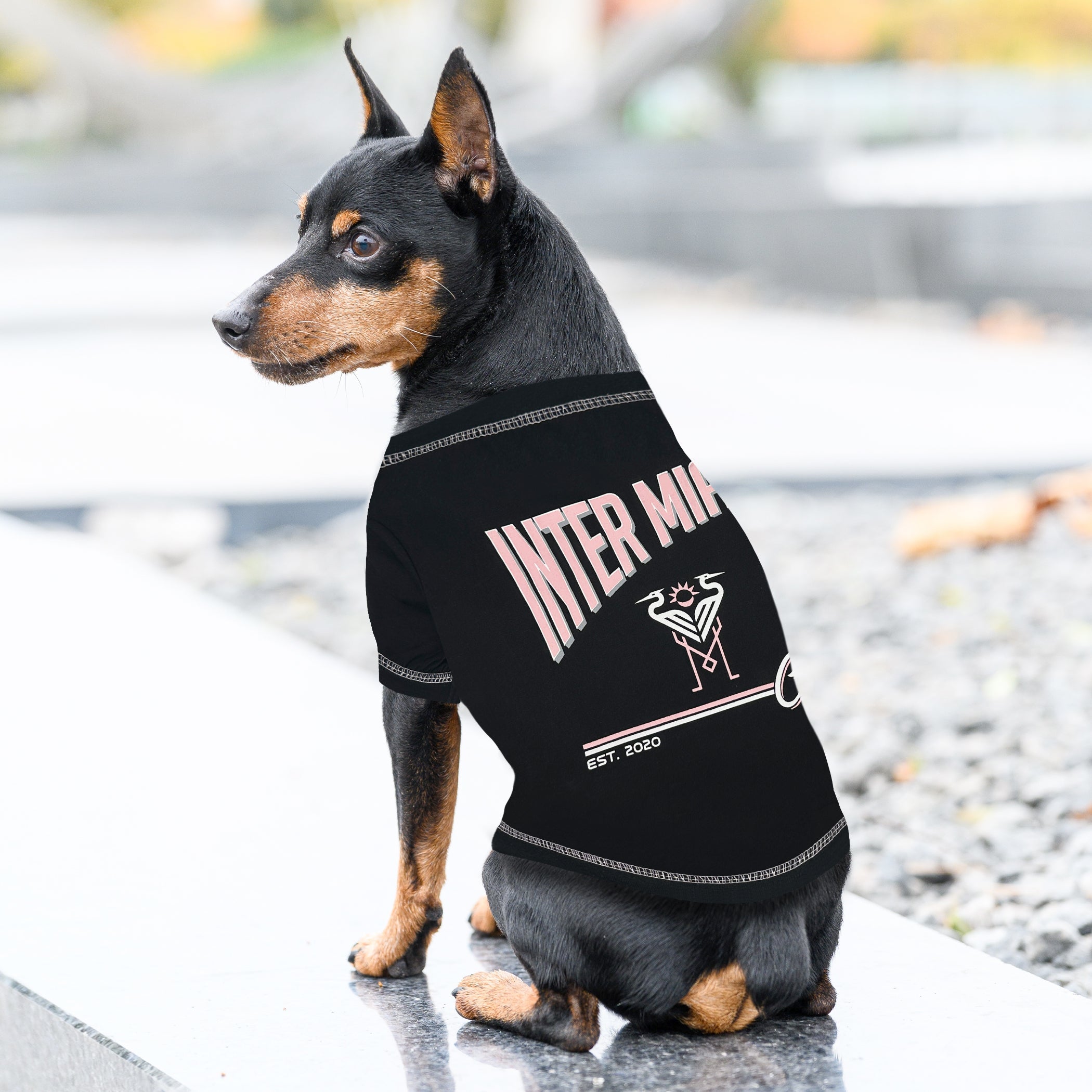 Inter Miami CF Pet Bold City Text Tee Shirt
