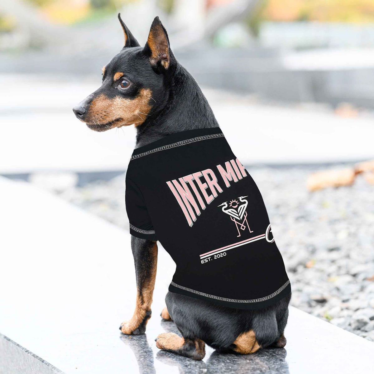MLS Inter Miami Club de Foot Bold City Text Dog T-Shirt