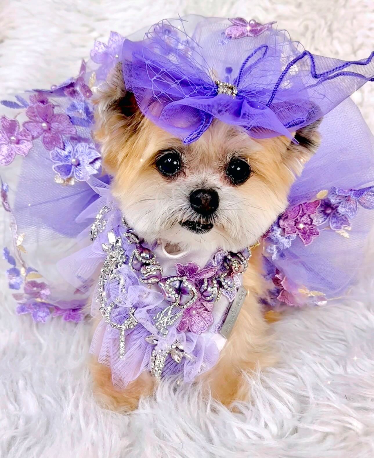 Shades of Lavender Tutu