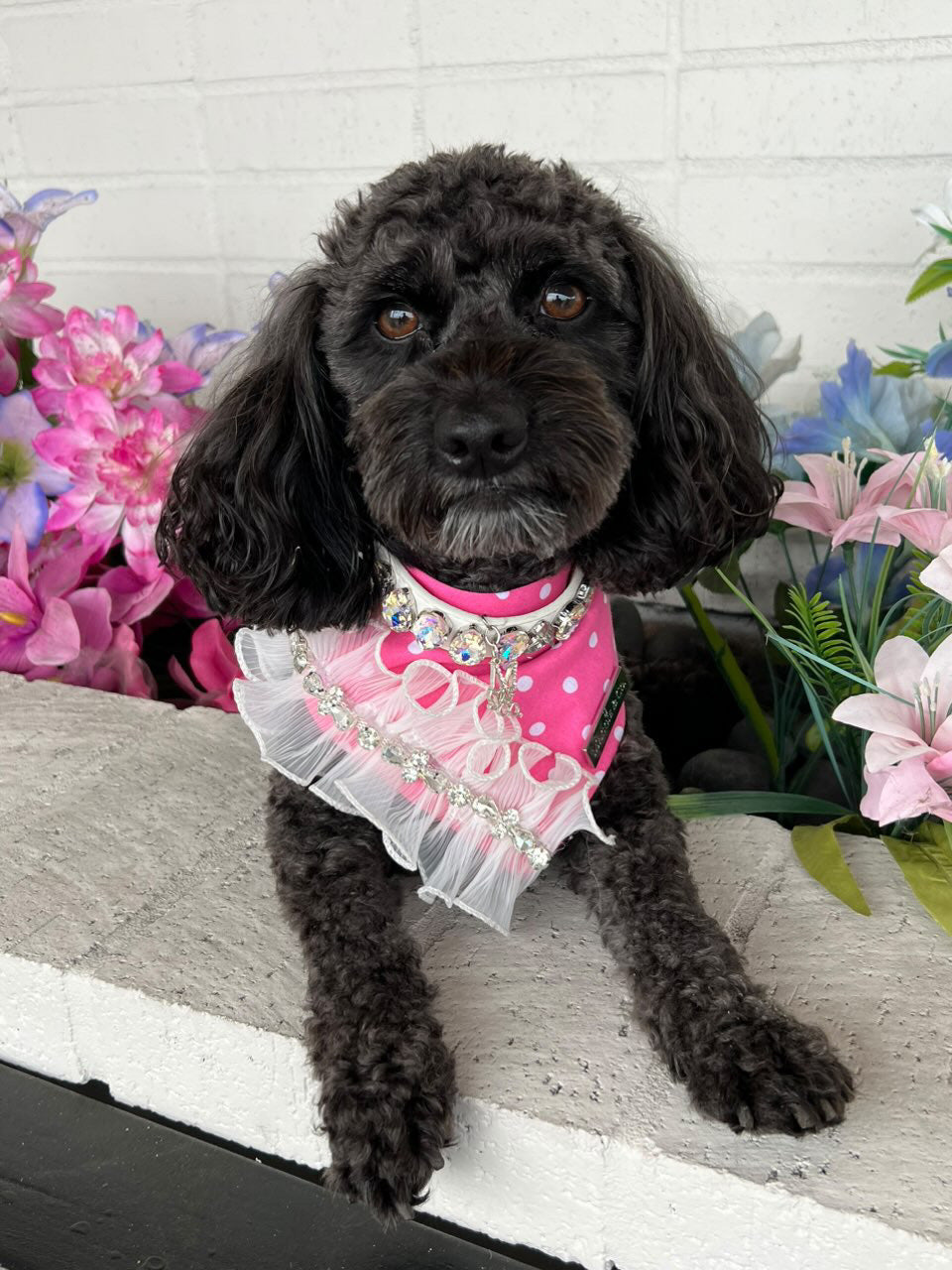 Barkie Collection: Ruffle Me Pink Bandana