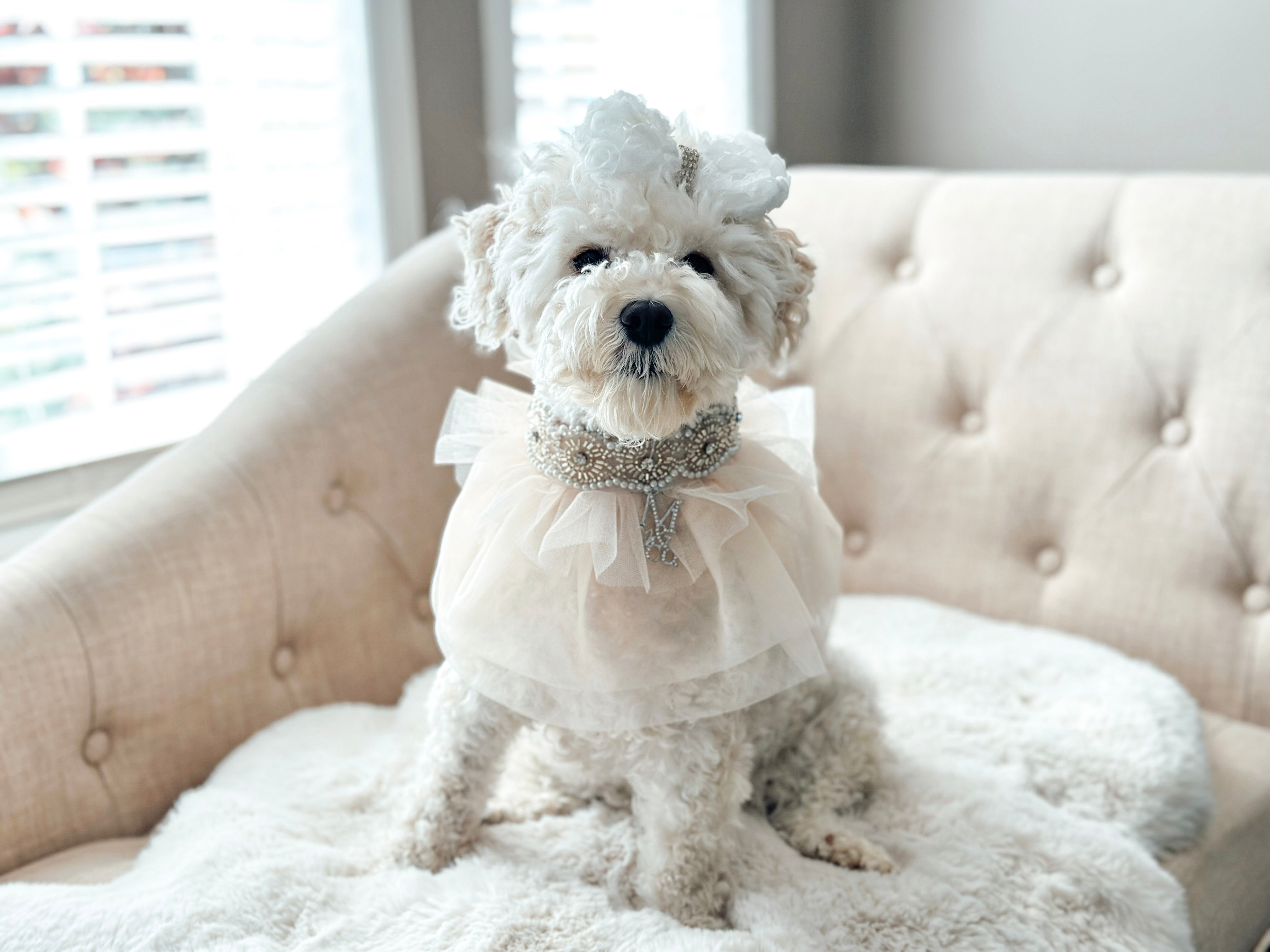 Whimsical Wedding: The Duchess