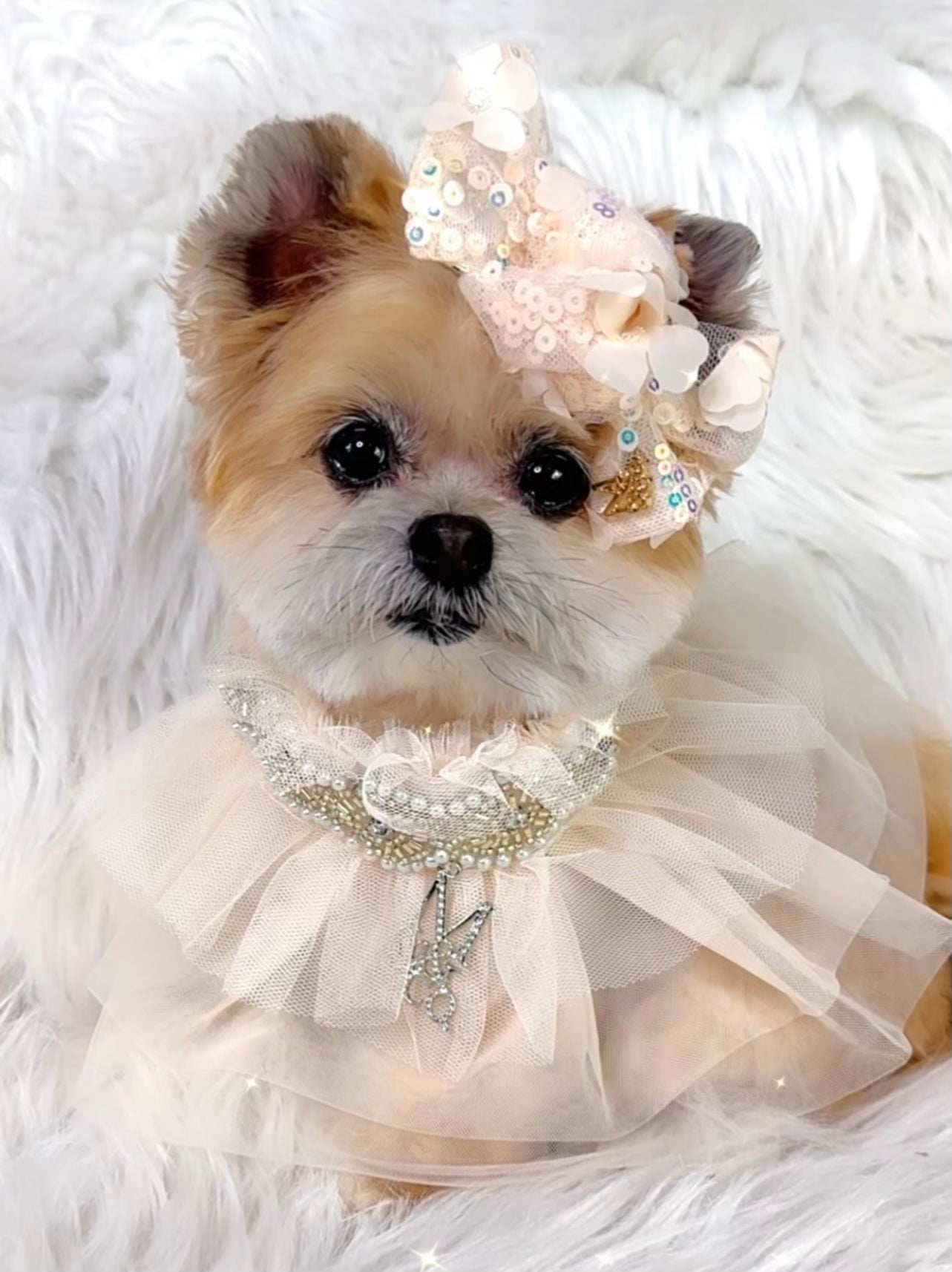 Whimsical Wedding: The Duchess