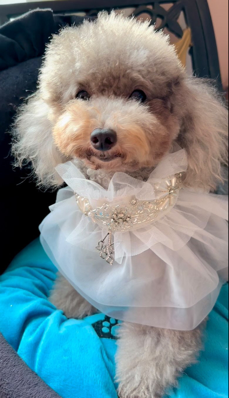 Whimsical Wedding: White Swan