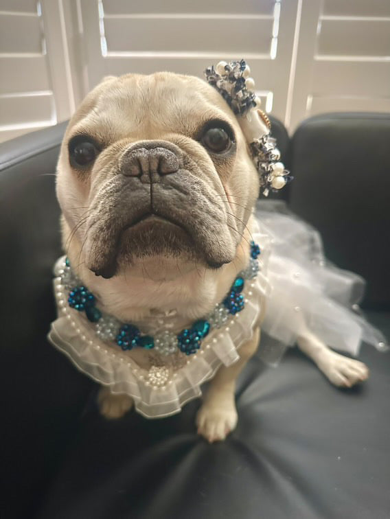 Necklace: Frozen