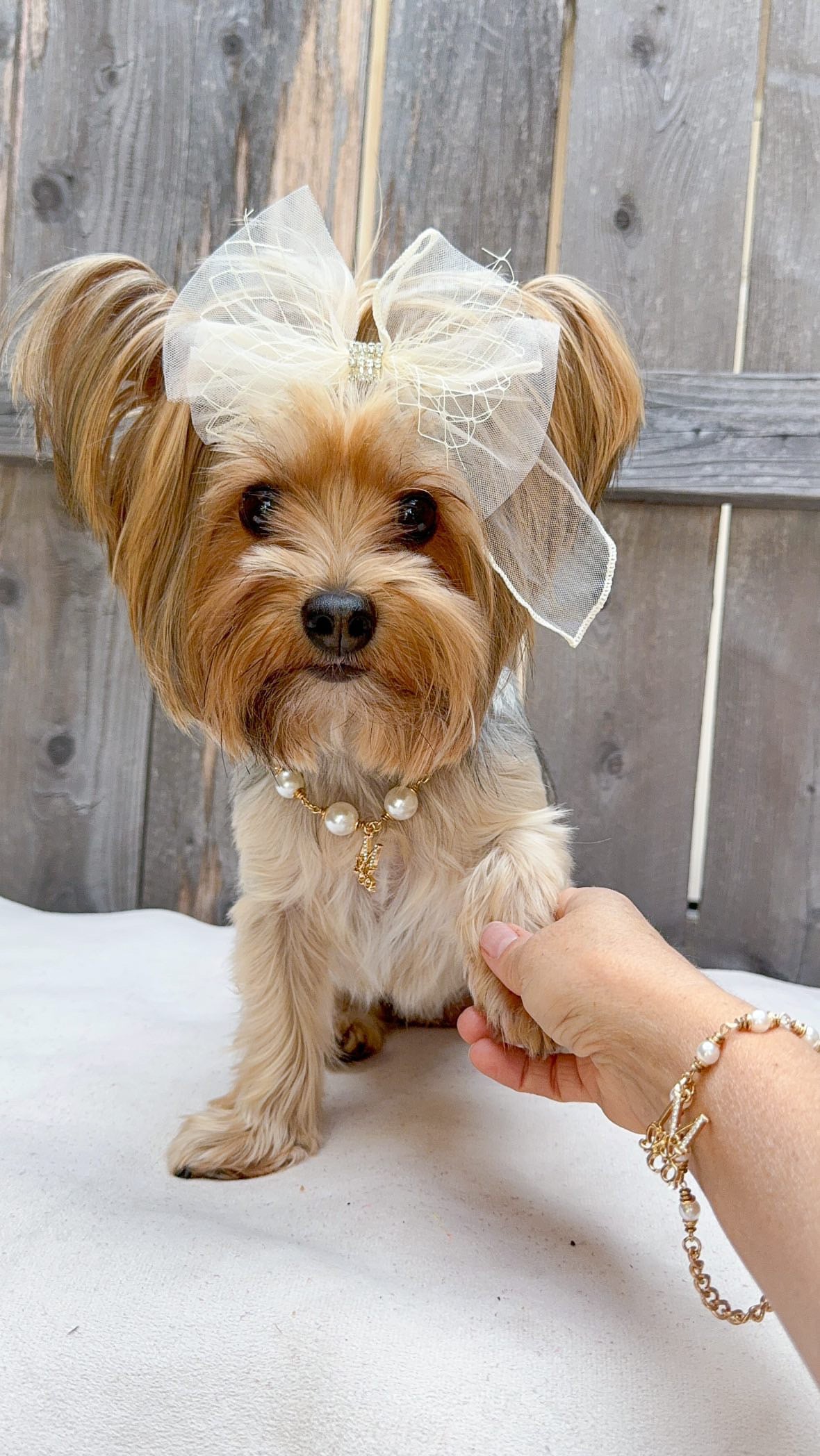 The Iconic Pearl Necklace